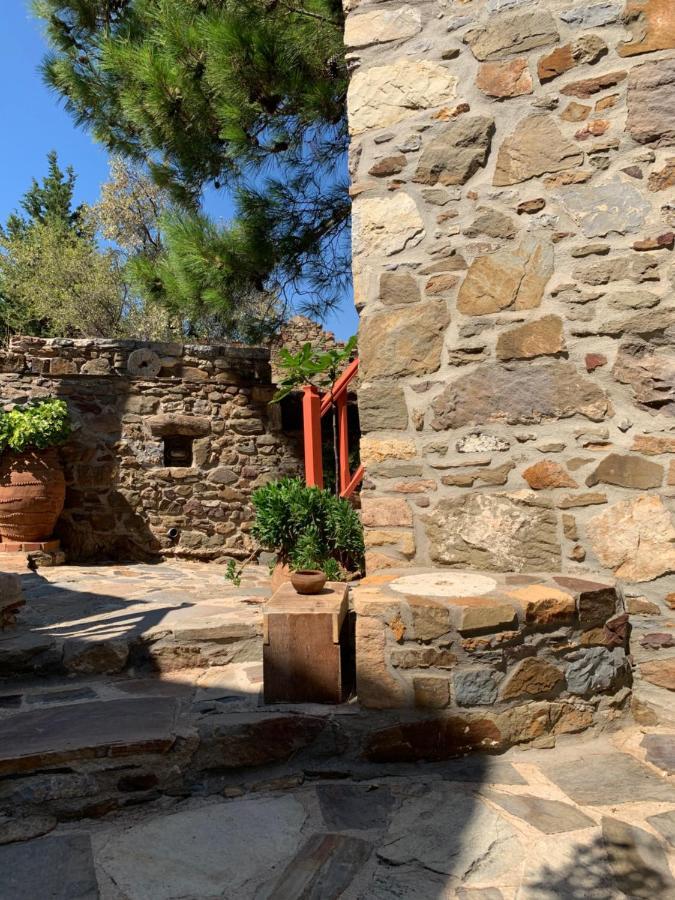 Lithos Homes Volissos Bagian luar foto
