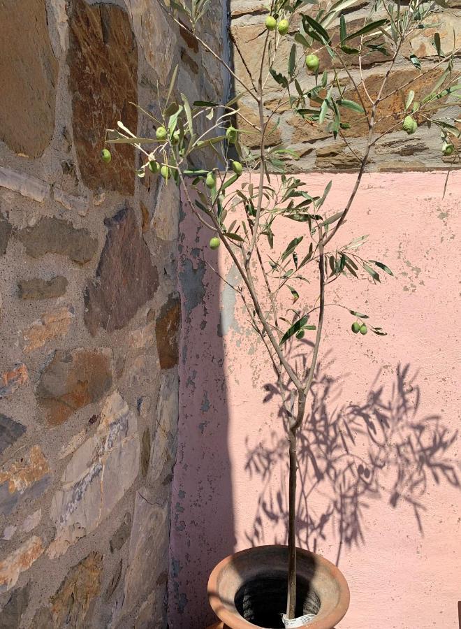 Lithos Homes Volissos Bagian luar foto